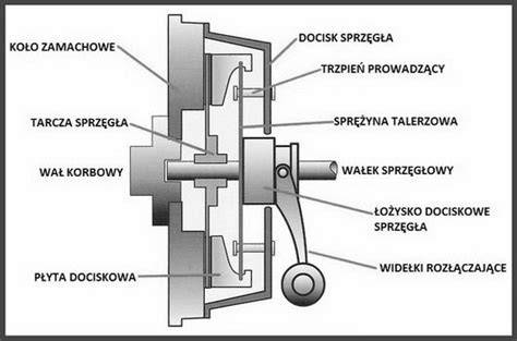 budowa sprzęgła elektronarzędzia schemat