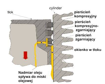 budowa tłoka i pierścieni tłokowych